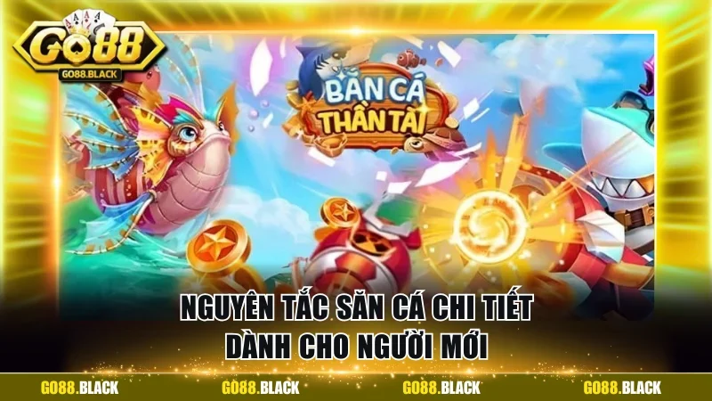 Nguyên tắc săn cá chi tiết dành cho người mới